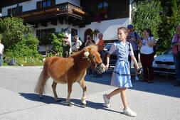 Bauernherbstfest  Hinterthal 2024 Bild 19