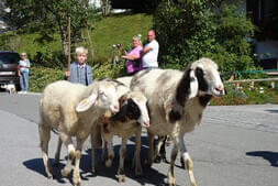 Bauernherbstfest  Hinterthal 2024 Bild 18