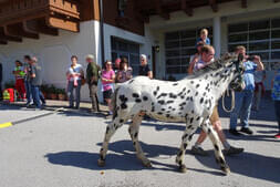 Bauernherbstfest  Hinterthal 2024 Bild 21