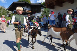 Bauernherbstfest  Hinterthal 2024 Bild 17