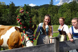 Bauernherbstfest  Hinterthal 2024 Bild 27